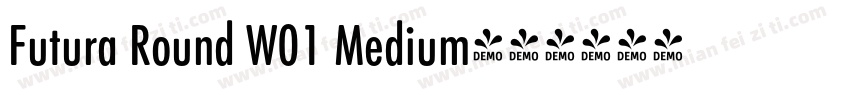 Futura Round W01 Medium字体转换